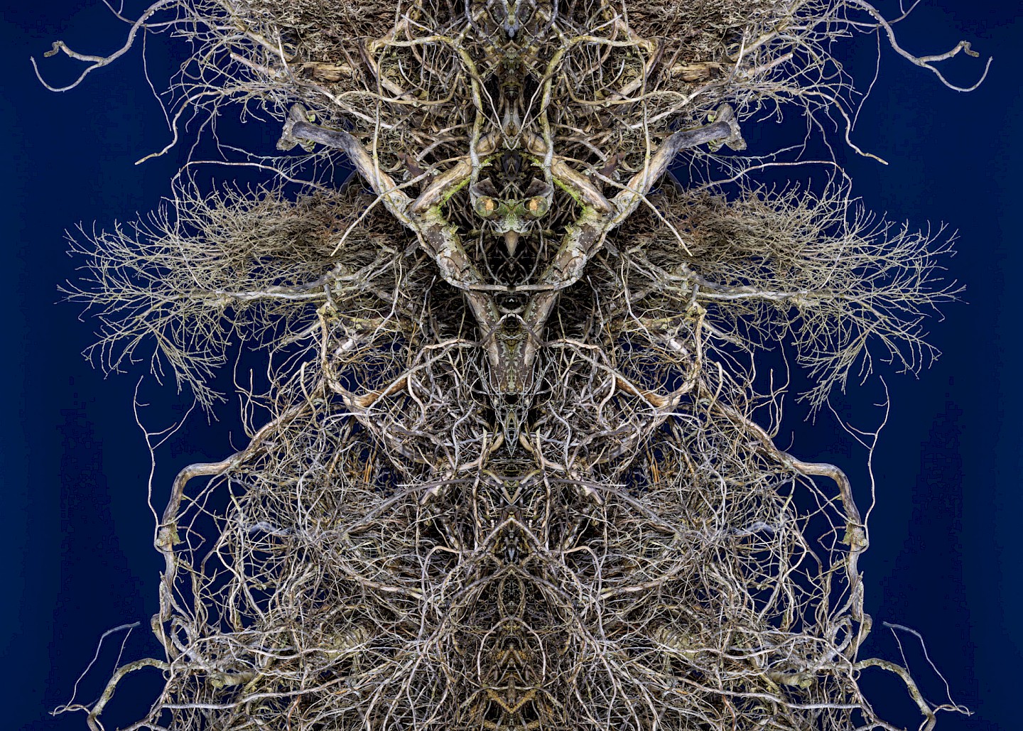 Symmetrical tree