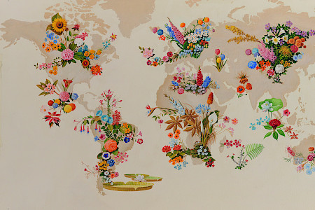 A world map showing where which flower comes from.