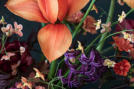Floral Still Life - Orange-violet-arragement