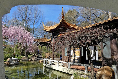China Garden in the Munich Westpark