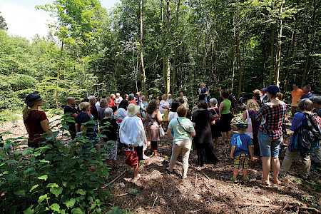 The opening of the 5th SüdpART Biennale offers visitors speeches, lectures, guided tours, fairy tales and forest life.